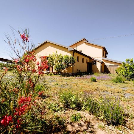Agriturismo Bio Podere 109 - Wine&Food Alberese Luaran gambar