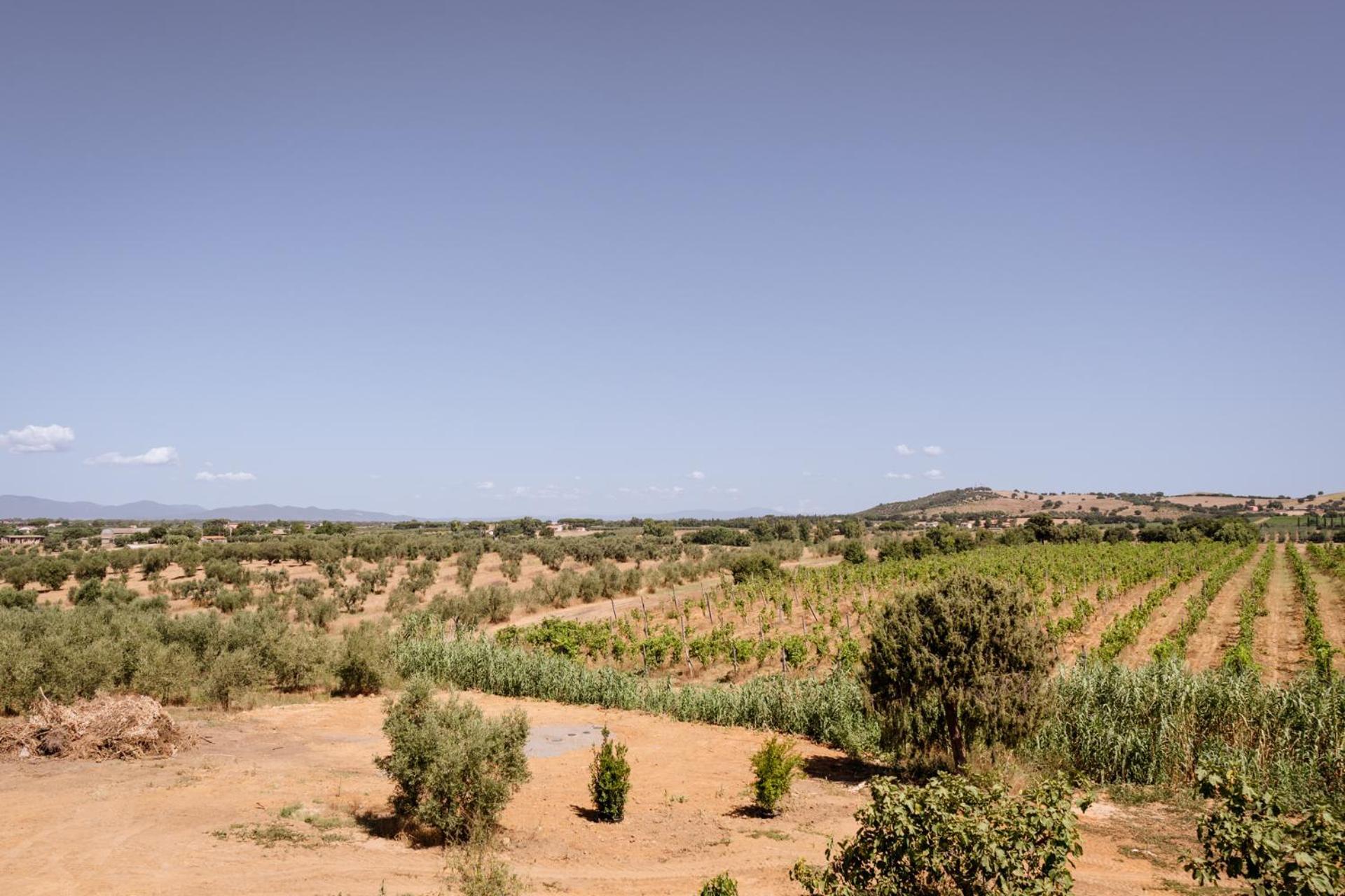 Agriturismo Bio Podere 109 - Wine&Food Alberese Luaran gambar
