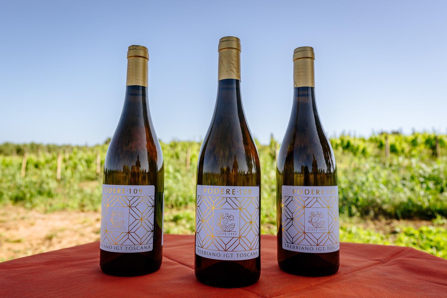 Agriturismo Bio Podere 109 - Wine&Food Alberese Luaran gambar