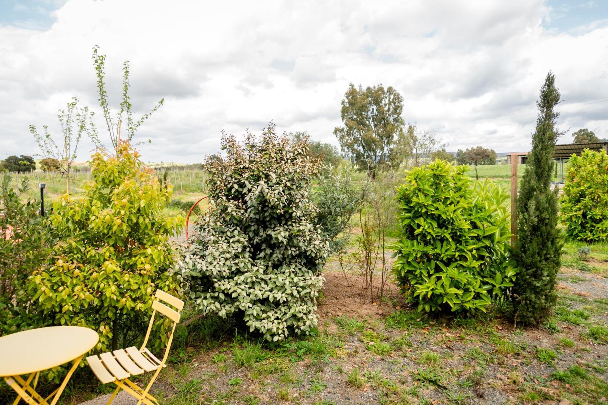 Agriturismo Bio Podere 109 - Wine&Food Alberese Luaran gambar