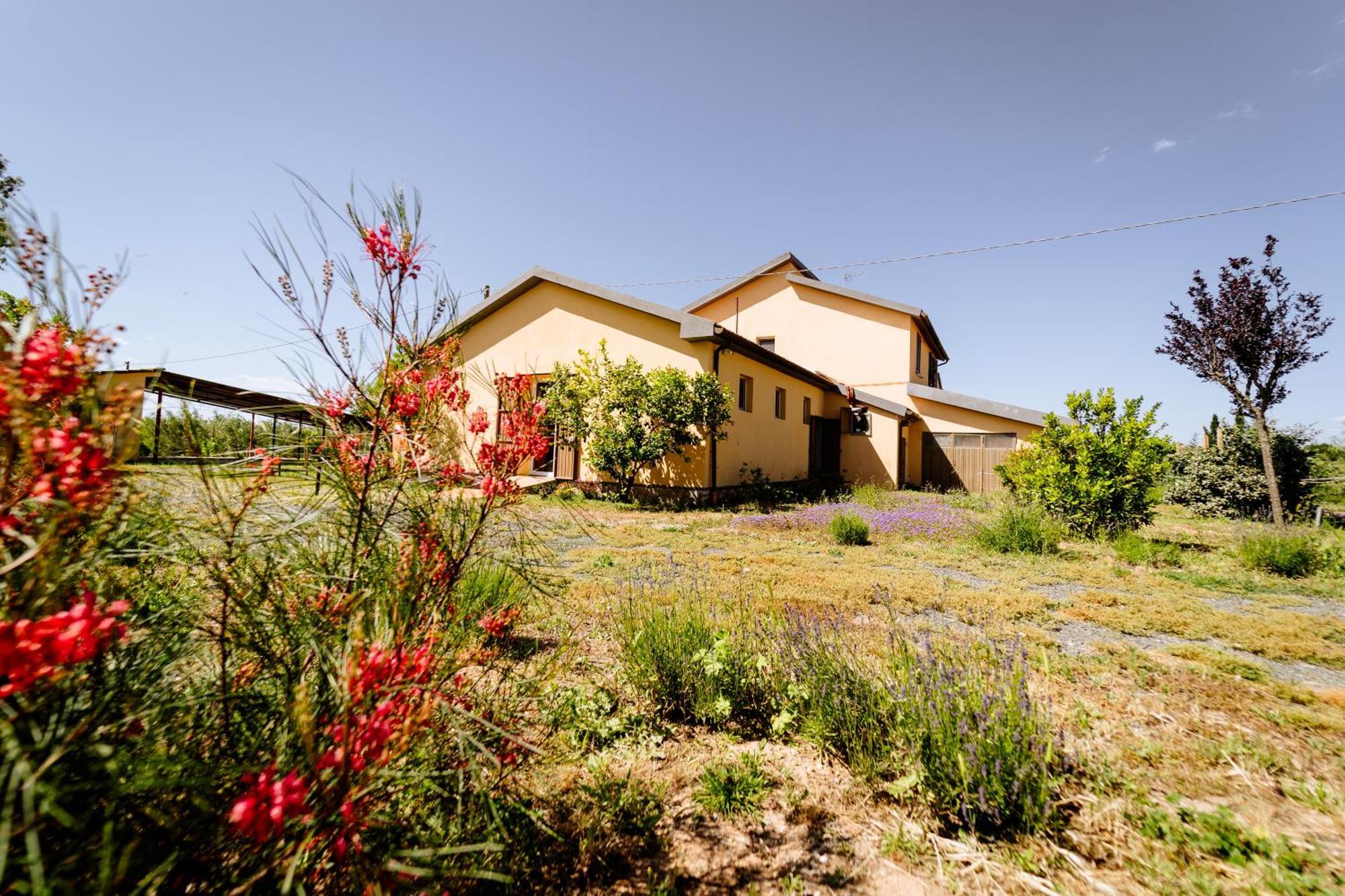 Agriturismo Bio Podere 109 - Wine&Food Alberese Luaran gambar